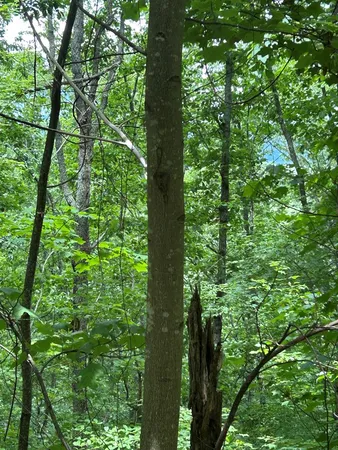 $20,000 | 0 Ten Ten Pointe Trail, Murphy, NC 28906