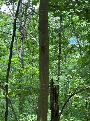 $20,000 | 0 Ten Ten Pointe Trail, Murphy, NC 28906