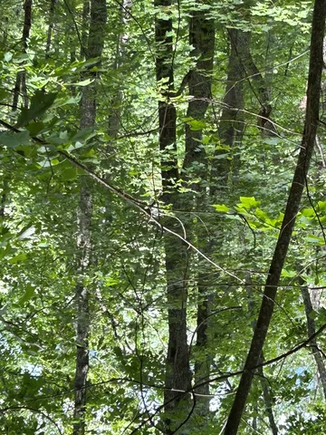 $20,000 | 0 Ten Ten Pointe Trail, Murphy, NC 28906