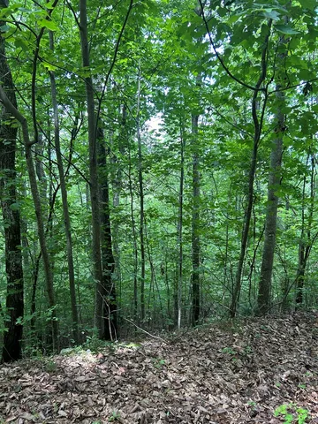 $20,000 | 0 Ten Ten Pointe Trail, Murphy, NC 28906