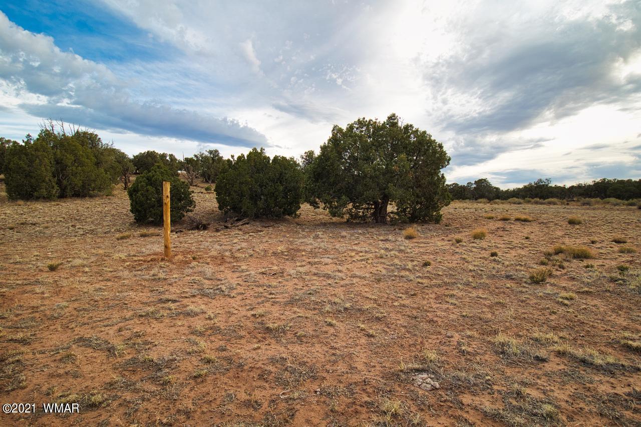 Tbd Tbd Concho, AZ 85924 - Photo 11 of 16