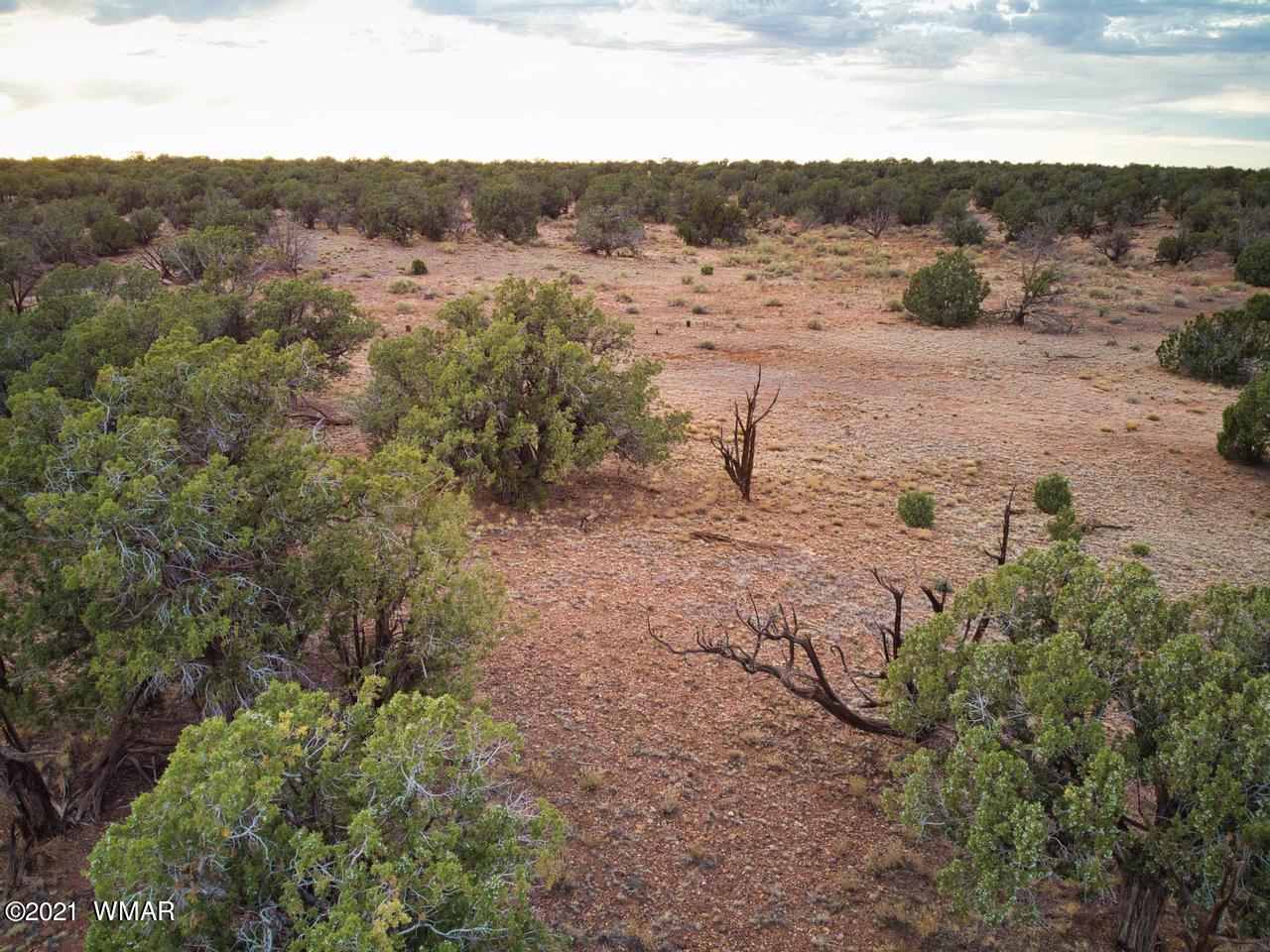 Tbd Tbd Concho, AZ 85924 - Photo 12 of 16