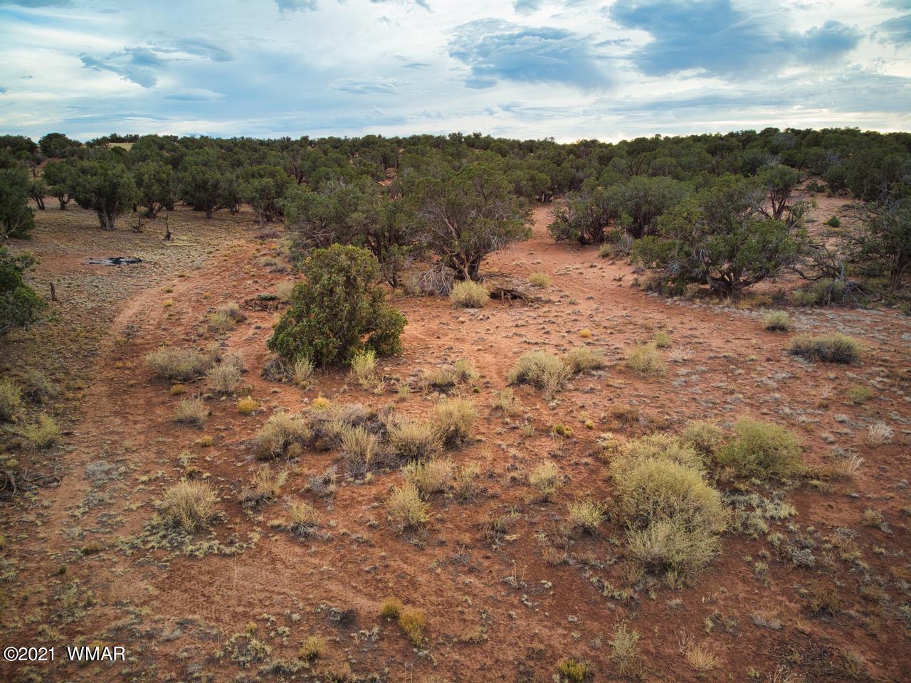 Tbd Tbd Concho, AZ 85924 - Photo 13 of 16