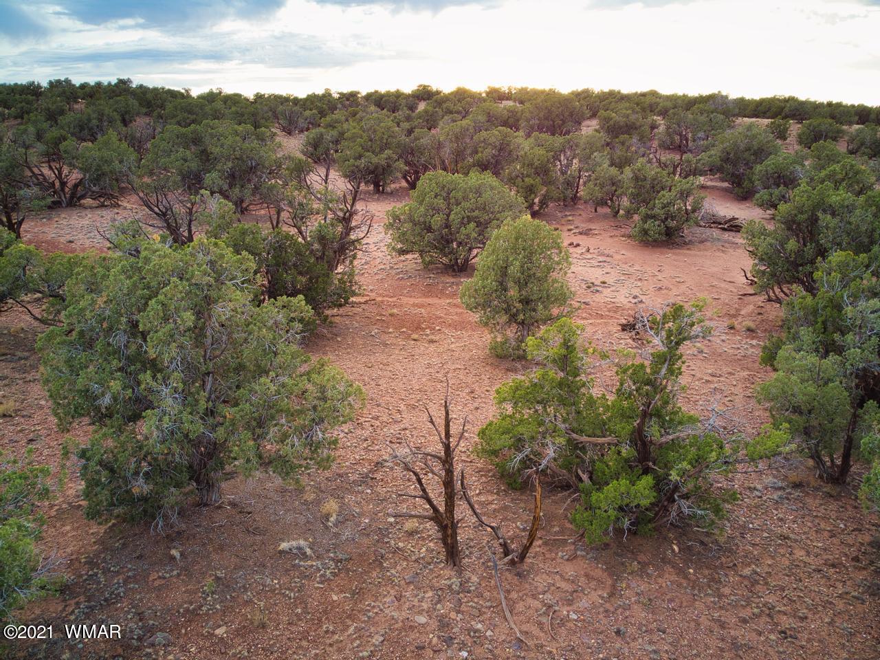 Tbd Tbd Concho, AZ 85924 - Photo 14 of 16