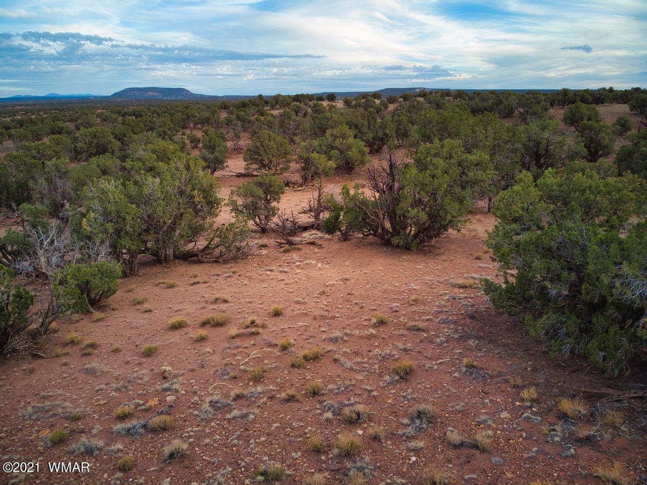 Tbd Tbd Concho, AZ 85924 - Photo 15 of 16
