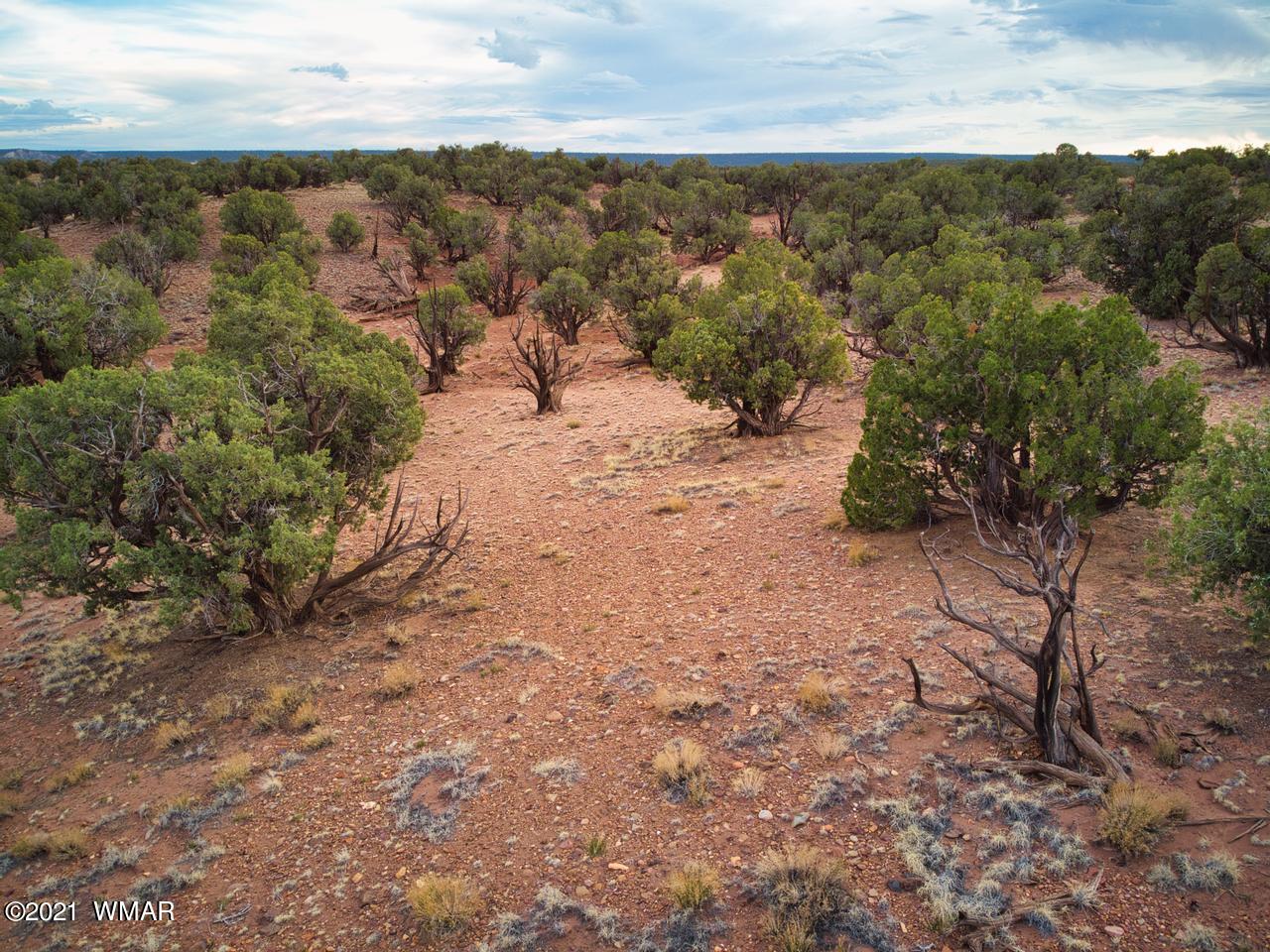 Tbd Tbd Concho, AZ 85924 - Photo 16 of 16