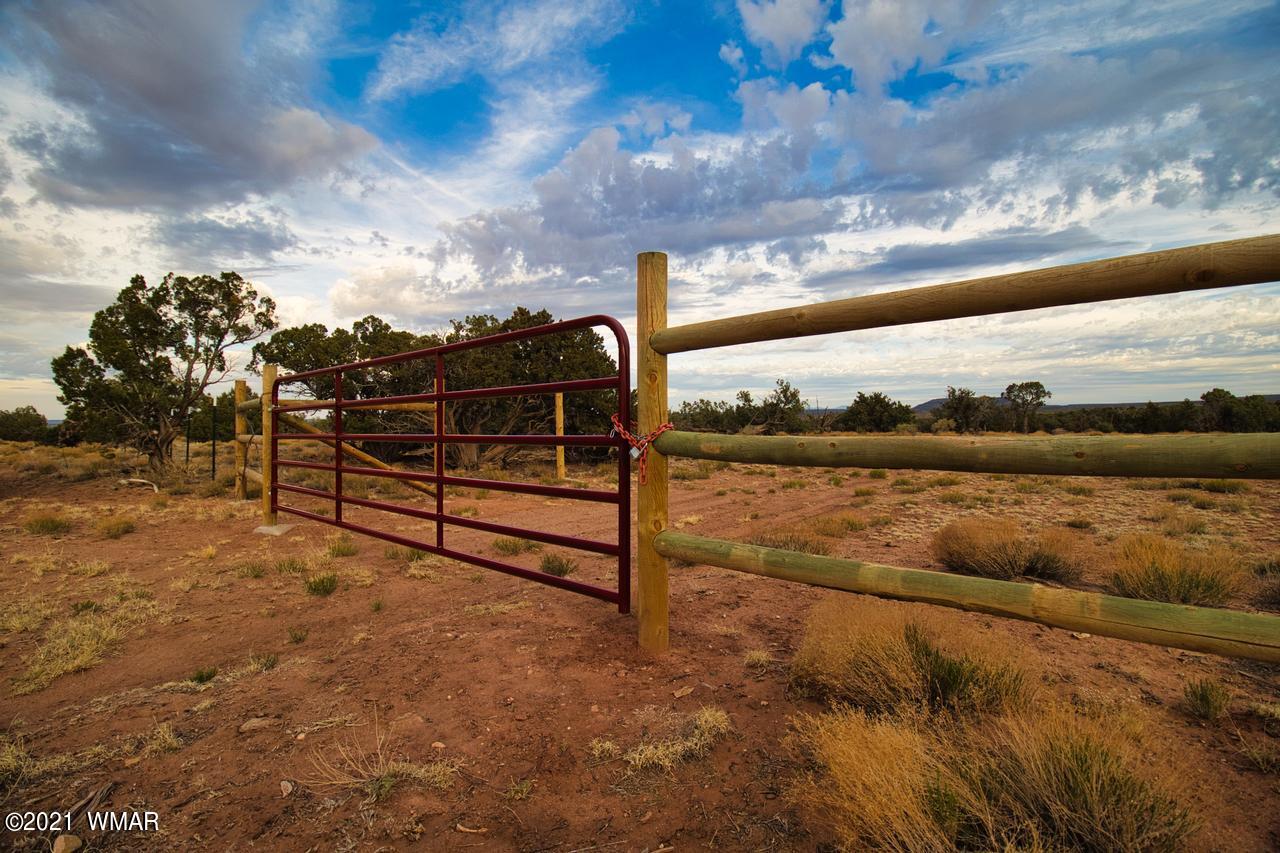 Tbd Tbd Concho, AZ 85924 - Photo 6 of 16
