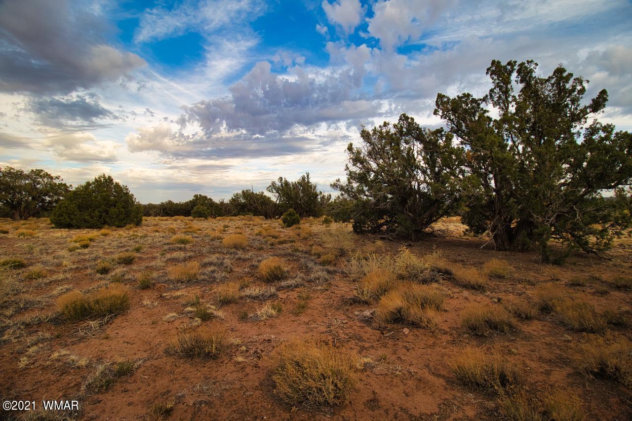 Tbd Tbd Concho, AZ 85924 - Photo 7 of 16