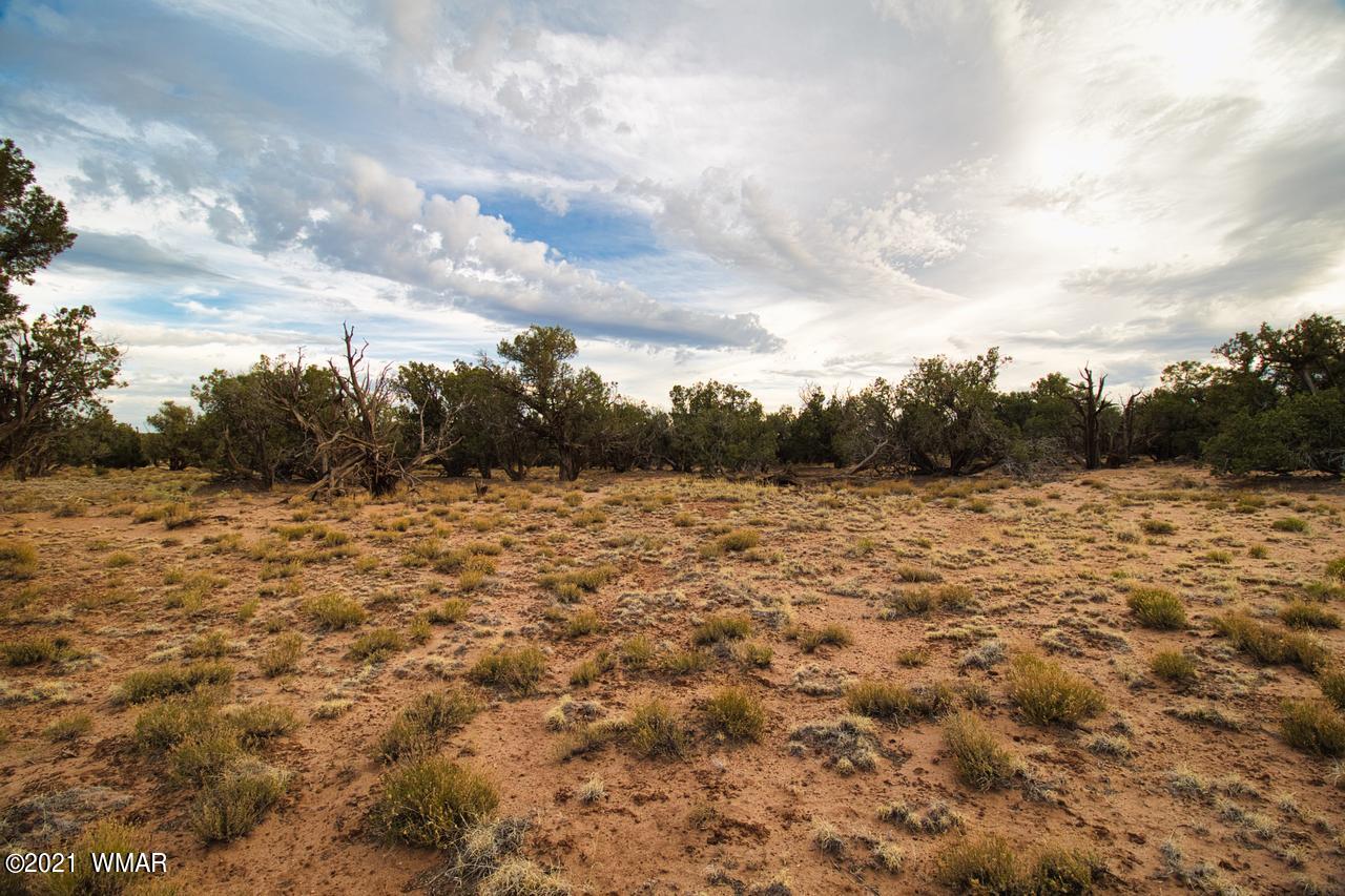 Tbd Tbd Concho, AZ 85924 - Photo 8 of 16