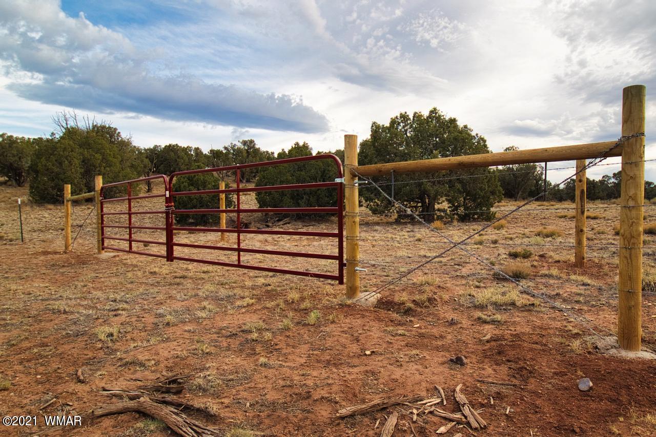 Tbd Tbd Concho, AZ 85924 - Photo 9 of 16