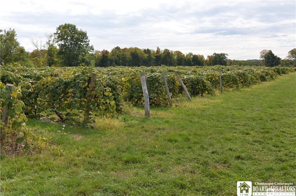 11071 Mixer Road Hanover, NY 14062 - Photo 27 of 37