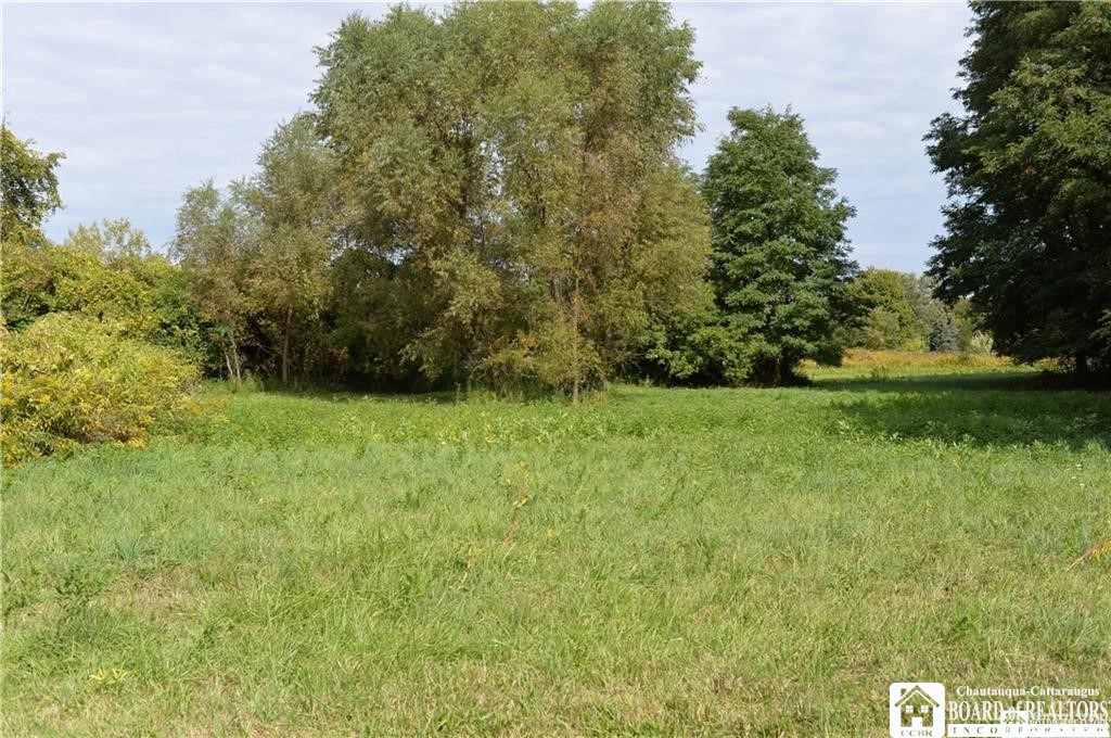 11071 Mixer Road Hanover, NY 14062 - Photo 28 of 37