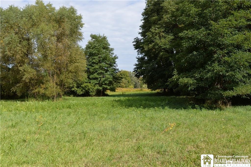 11071 Mixer Road Hanover, NY 14062 - Photo 29 of 37