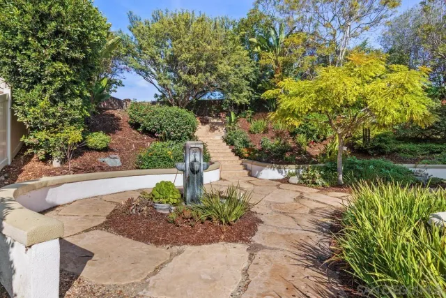 a view of a garden with plants