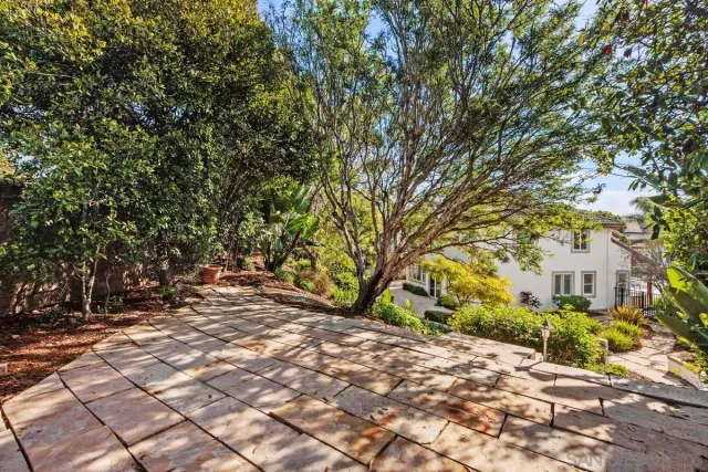 a view of a yard with plants and trees