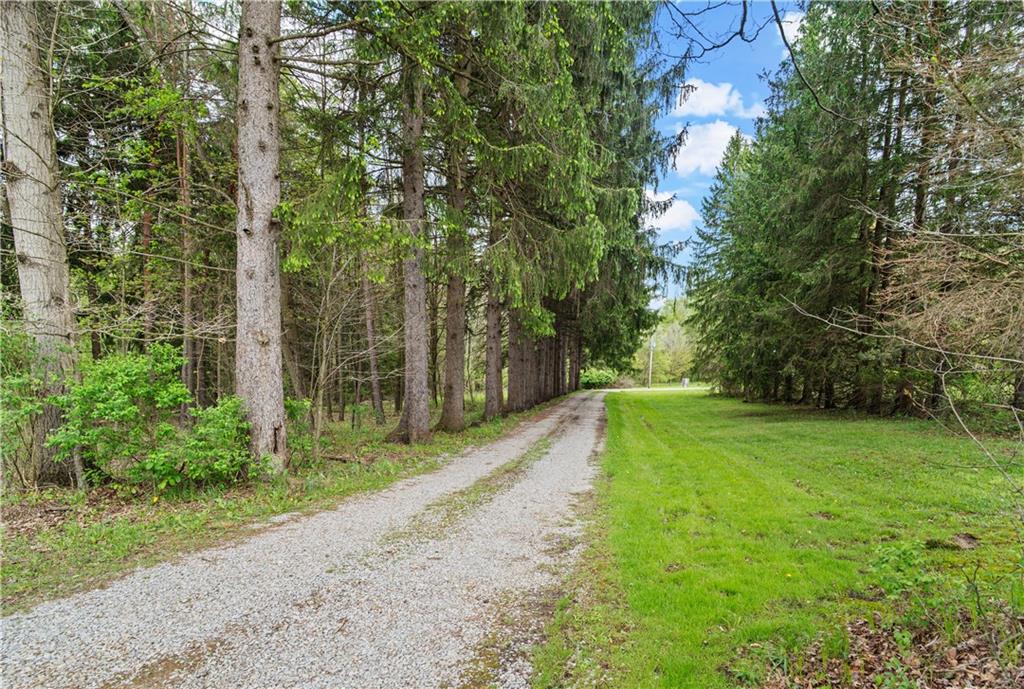 596 Wulfert Road Rochester Mills, PA 15771 - Photo 13 of 49 a view of a backyard with large trees