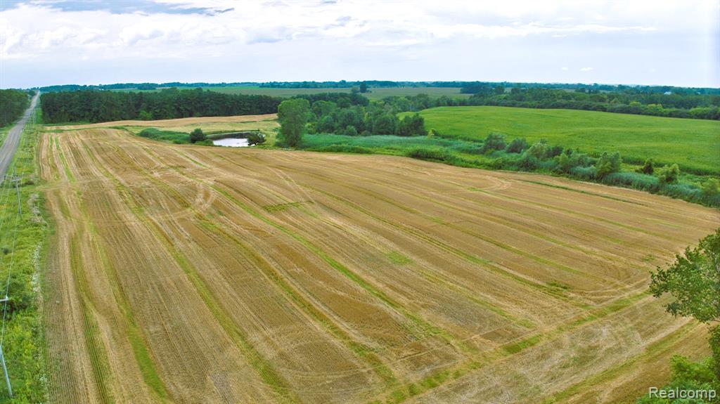 Vl Custer Road Carsonville, MI 48419 - Photo 12 of 16