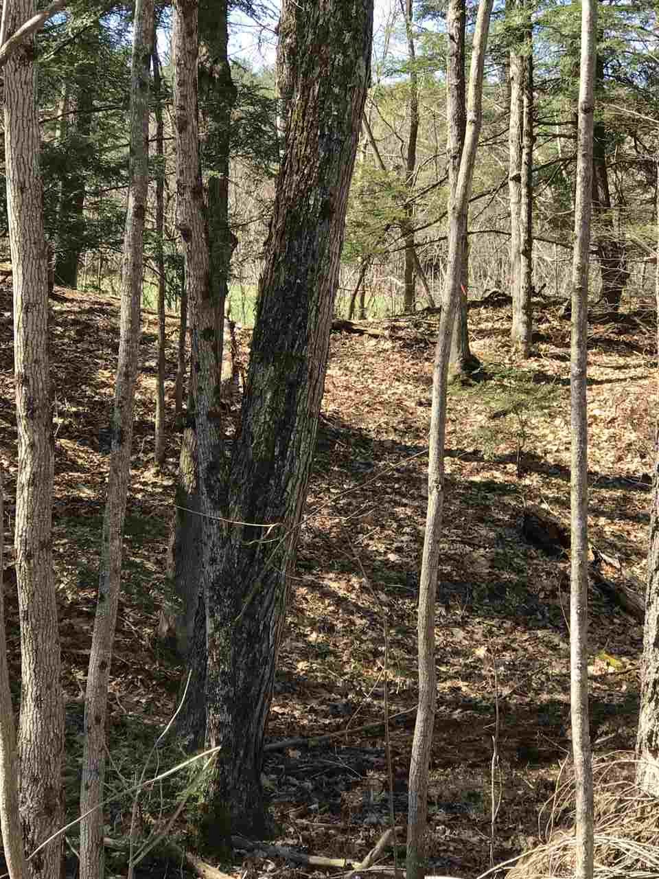 Stage Road, Unit 1 Plainfield, NH 03781 - Photo 6 of 10