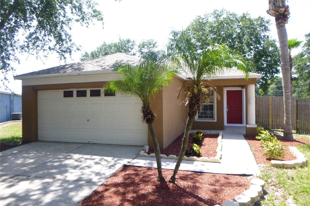 a view of backyard with a barn and a large cactus tree