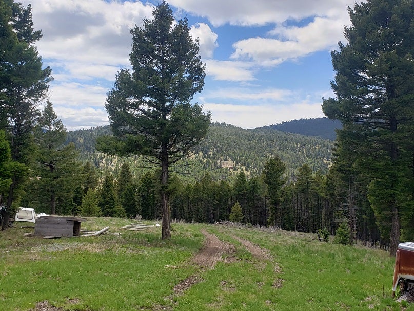 513 Spruce Gulch Road Gold Creek, MT 59733 - Photo 12 of 33 Gallery Image 12