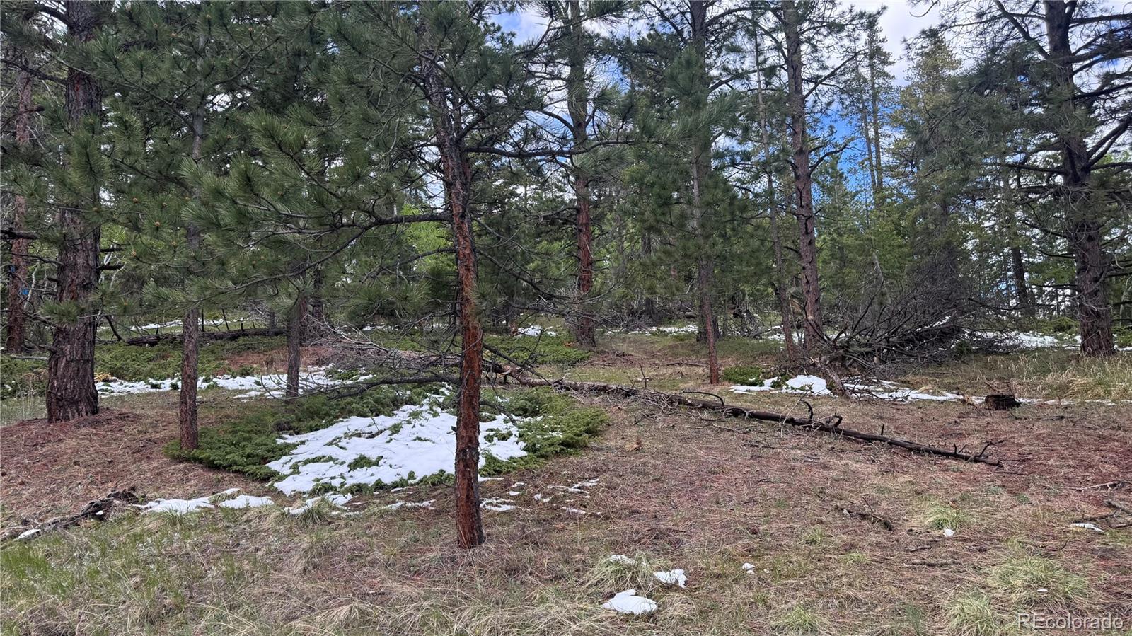 717 Crescent Lake Road Golden, CO 80403 - Photo 11 of 27
