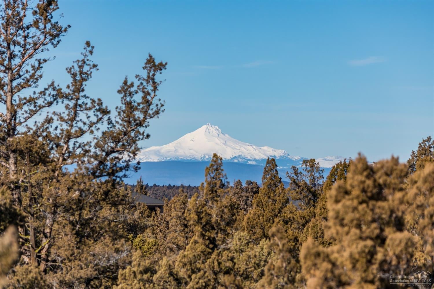 0 Southwest Mount Adams Loop, Unit 49LO Powell Butte, OR 97753 - Photo 16 of 18 Mt Jefferson snow fields are visible lat
