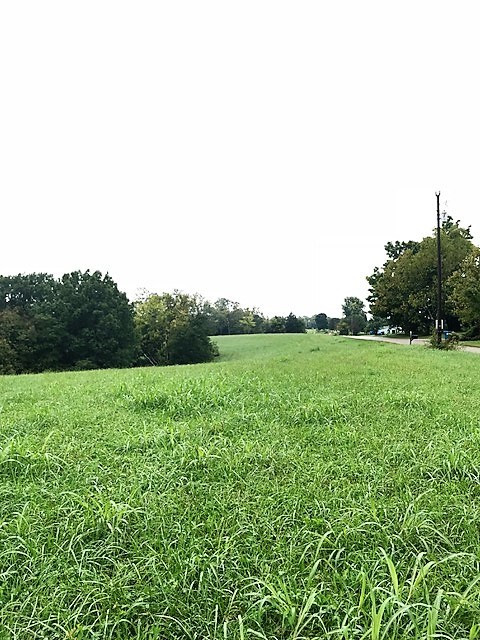 53-acres Sipple Road Dry Ridge, KY 41035 - Photo 4 of 26