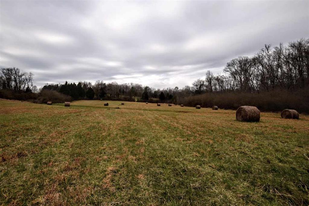 73.16-ac Toestring Valley Road Spring City, TN 37381 - Photo 1 of 19 20200864