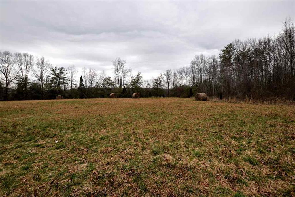 73.16-ac Toestring Valley Road Spring City, TN 37381 - Photo 2 of 19 20200864-1