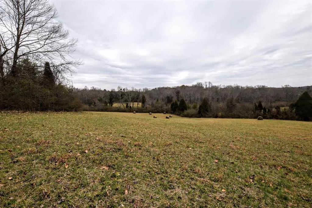 73.16-ac Toestring Valley Road Spring City, TN 37381 - Photo 11 of 19 20200864-10
