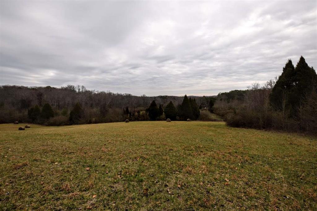 73.16-ac Toestring Valley Road Spring City, TN 37381 - Photo 12 of 19 20200864-11