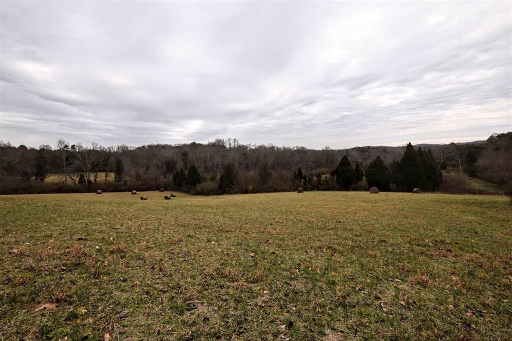 73.16-ac Toestring Valley Road Spring City, TN 37381 - Photo 13 of 19 20200864-12