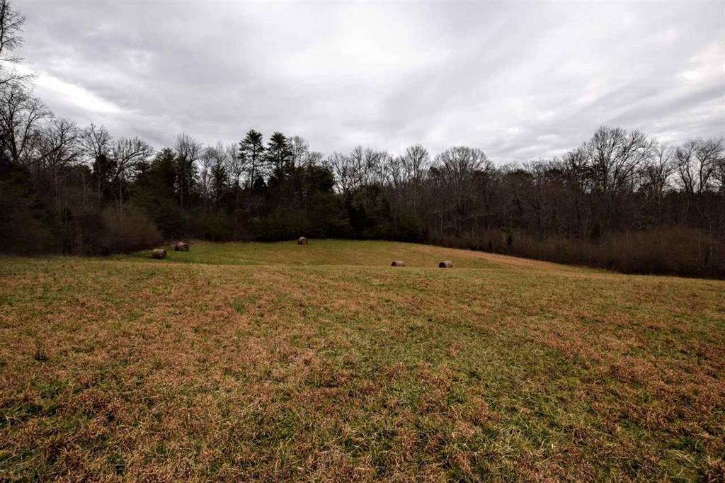 73.16-ac Toestring Valley Road Spring City, TN 37381 - Photo 15 of 19 20200864-14