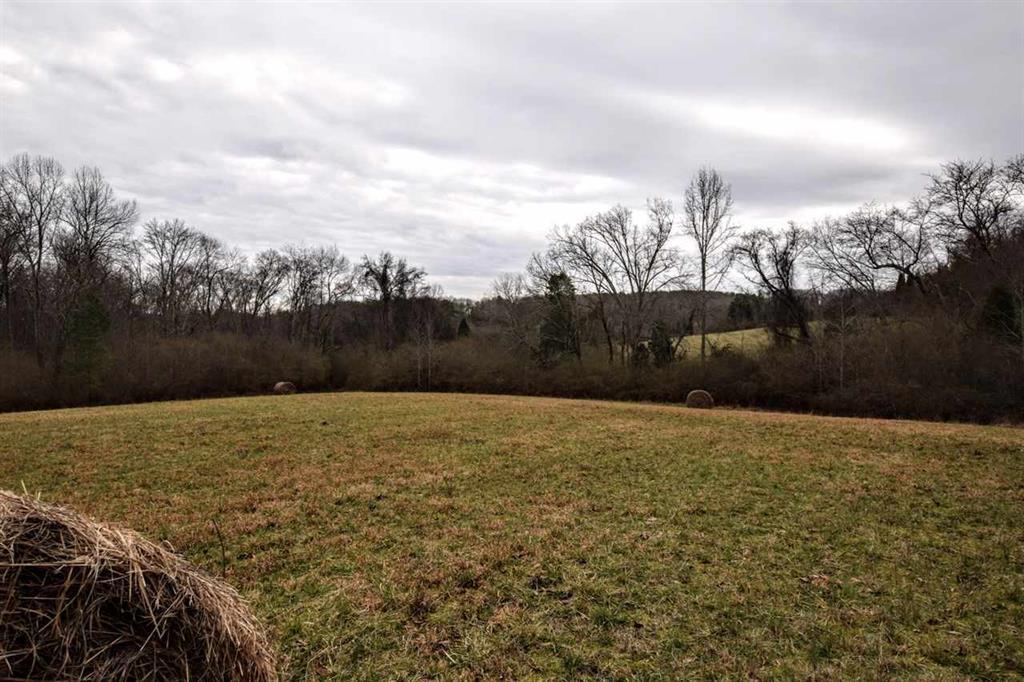 73.16-ac Toestring Valley Road Spring City, TN 37381 - Photo 16 of 19 20200864-15
