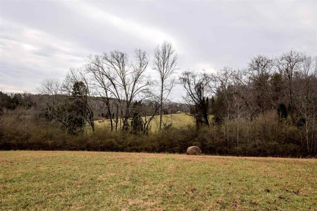 73.16-ac Toestring Valley Road Spring City, TN 37381 - Photo 17 of 19 20200864-16