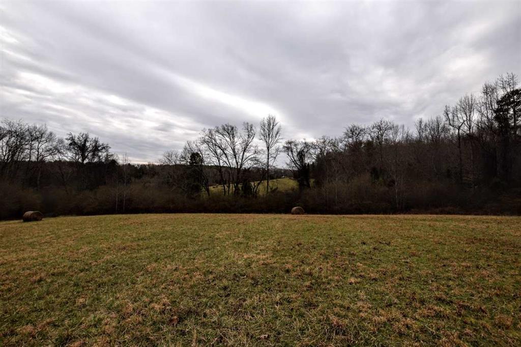 73.16-ac Toestring Valley Road Spring City, TN 37381 - Photo 18 of 19 20200864-17