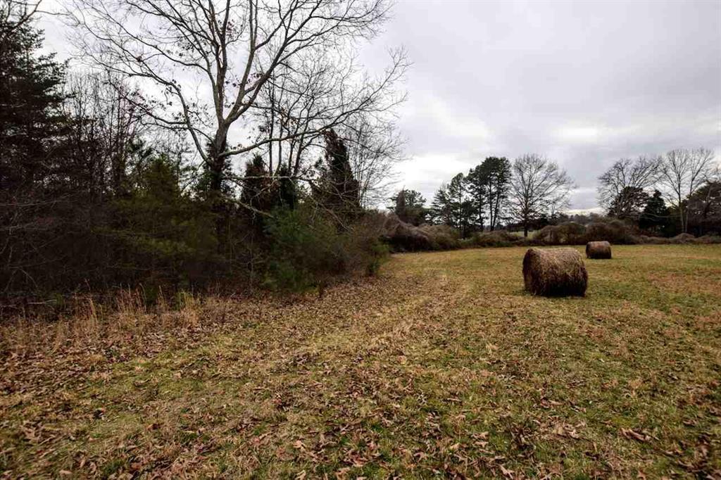 73.16-ac Toestring Valley Road Spring City, TN 37381 - Photo 3 of 19 20200864-2