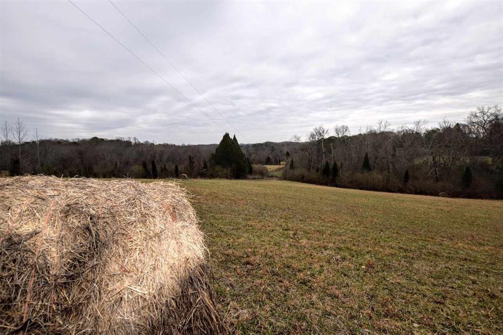73.16-ac Toestring Valley Road Spring City, TN 37381 - Photo 4 of 19 20200864-3