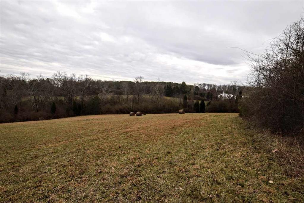 73.16-ac Toestring Valley Road Spring City, TN 37381 - Photo 5 of 19 20200864-4
