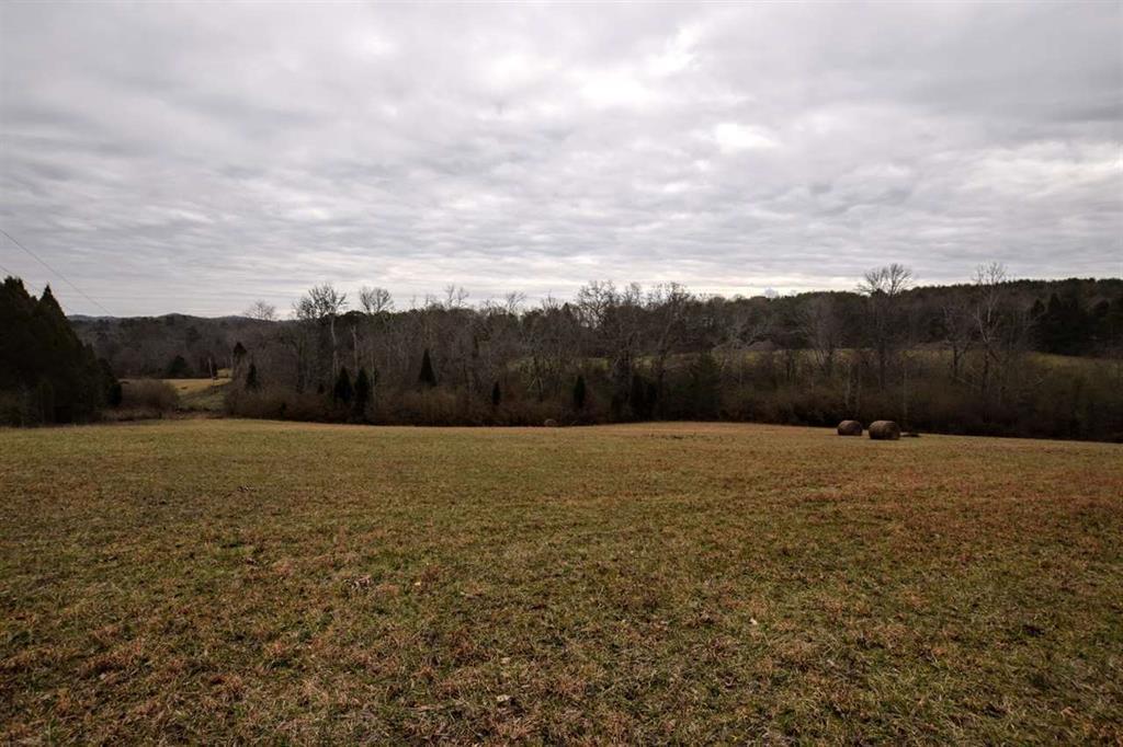 73.16-ac Toestring Valley Road Spring City, TN 37381 - Photo 6 of 19 20200864-5