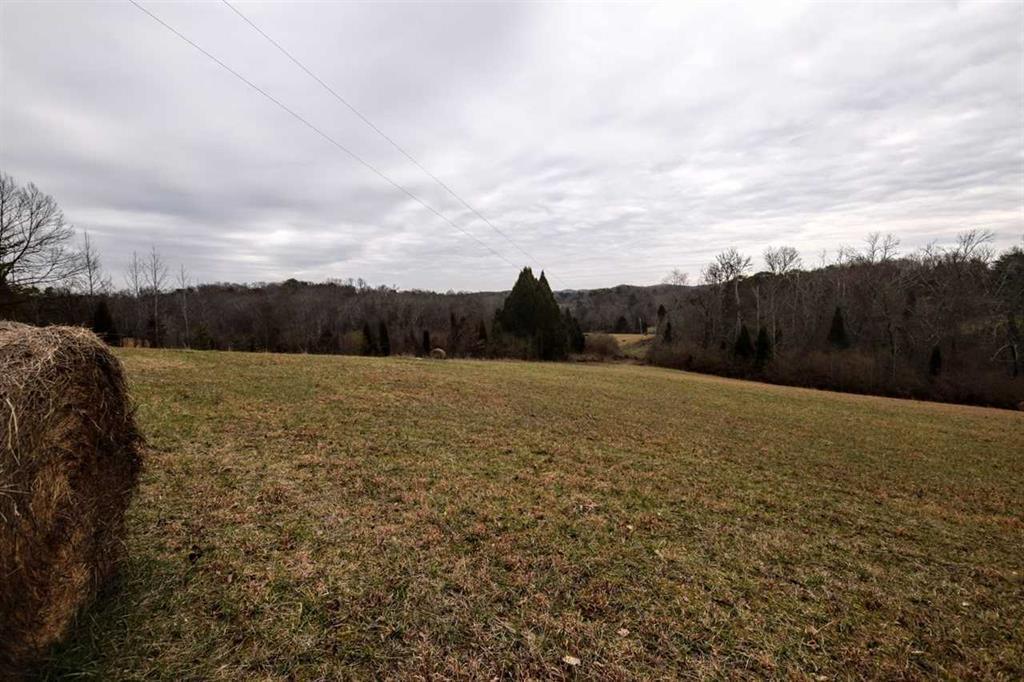 73.16-ac Toestring Valley Road Spring City, TN 37381 - Photo 7 of 19 20200864-6