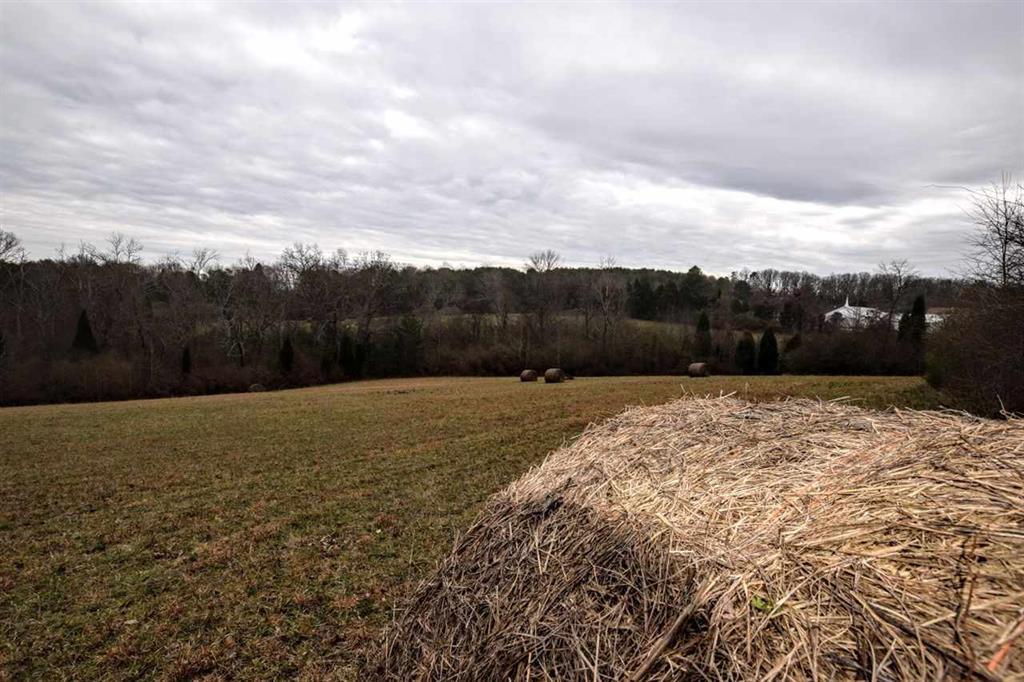 73.16-ac Toestring Valley Road Spring City, TN 37381 - Photo 8 of 19 20200864-7