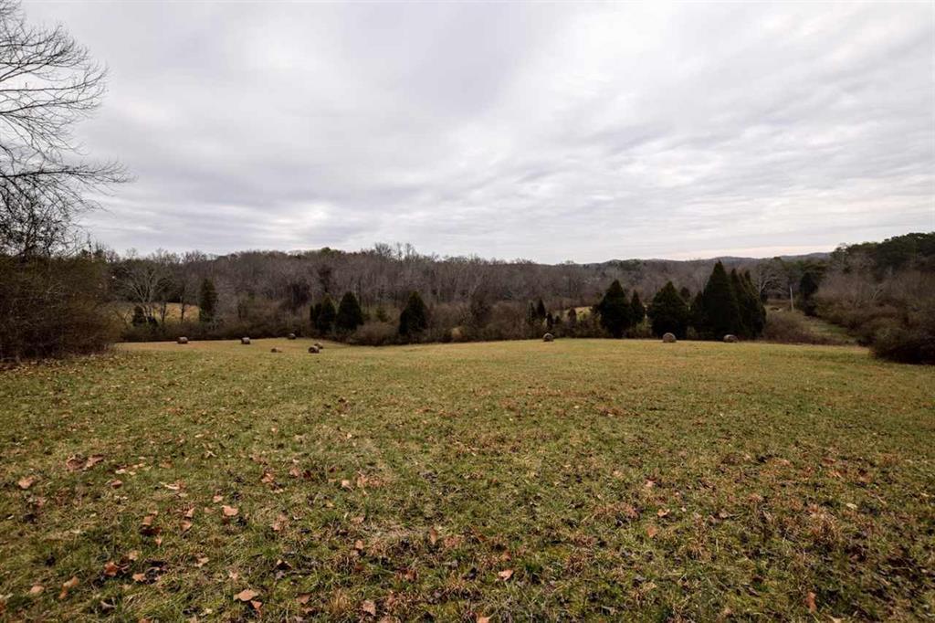 73.16-ac Toestring Valley Road Spring City, TN 37381 - Photo 10 of 19 20200864-9