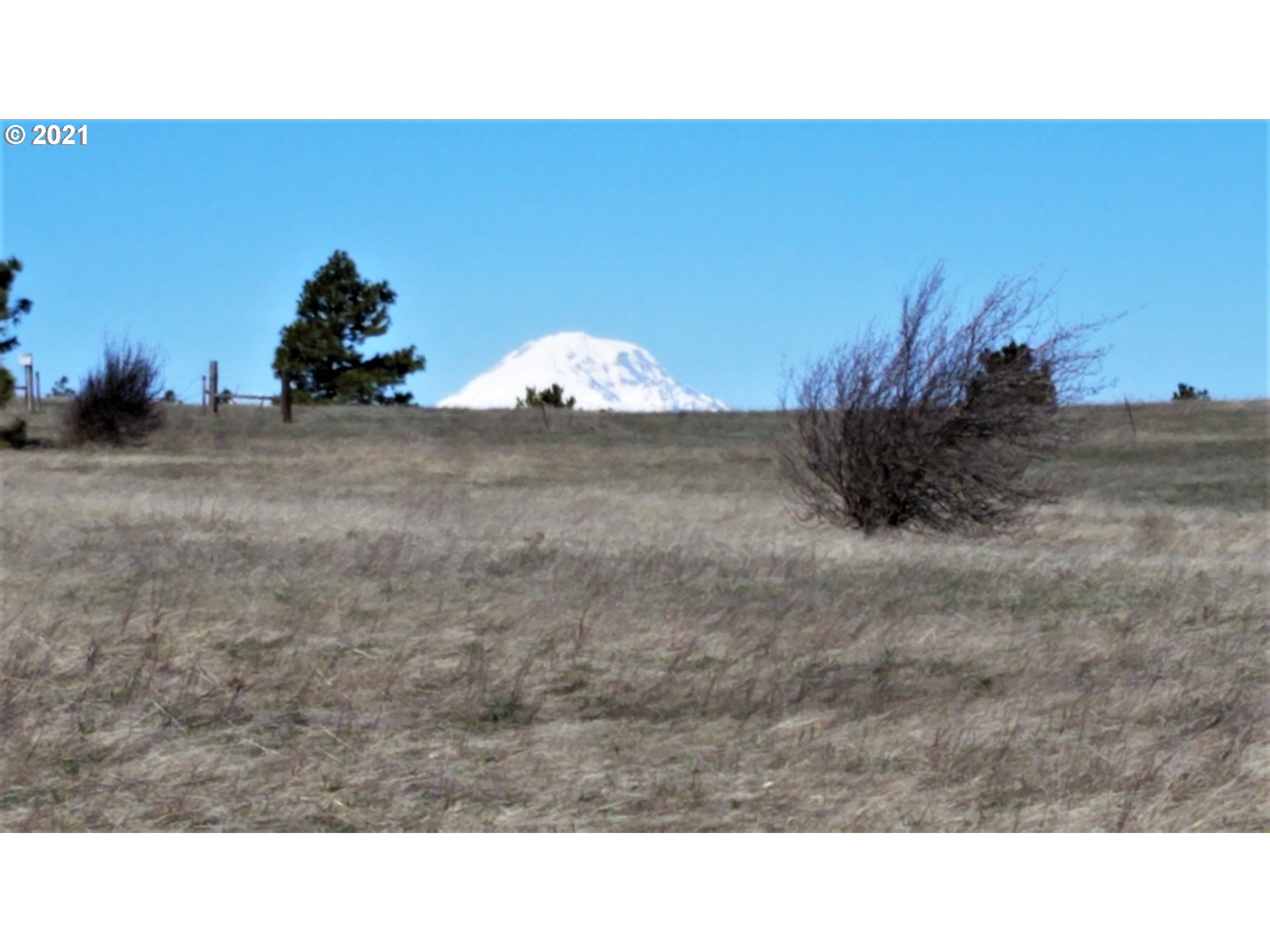 218 Schilling Road Lyle, WA 98635 - Photo 2 of 4 Gallery Image 2
