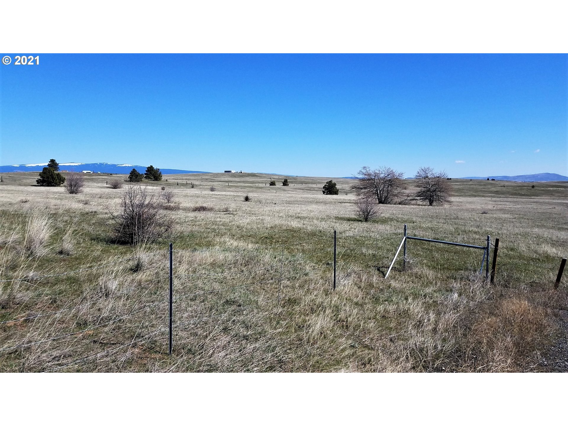 218 Schilling Road Lyle, WA 98635 - Photo 3 of 4 Gallery Image 3