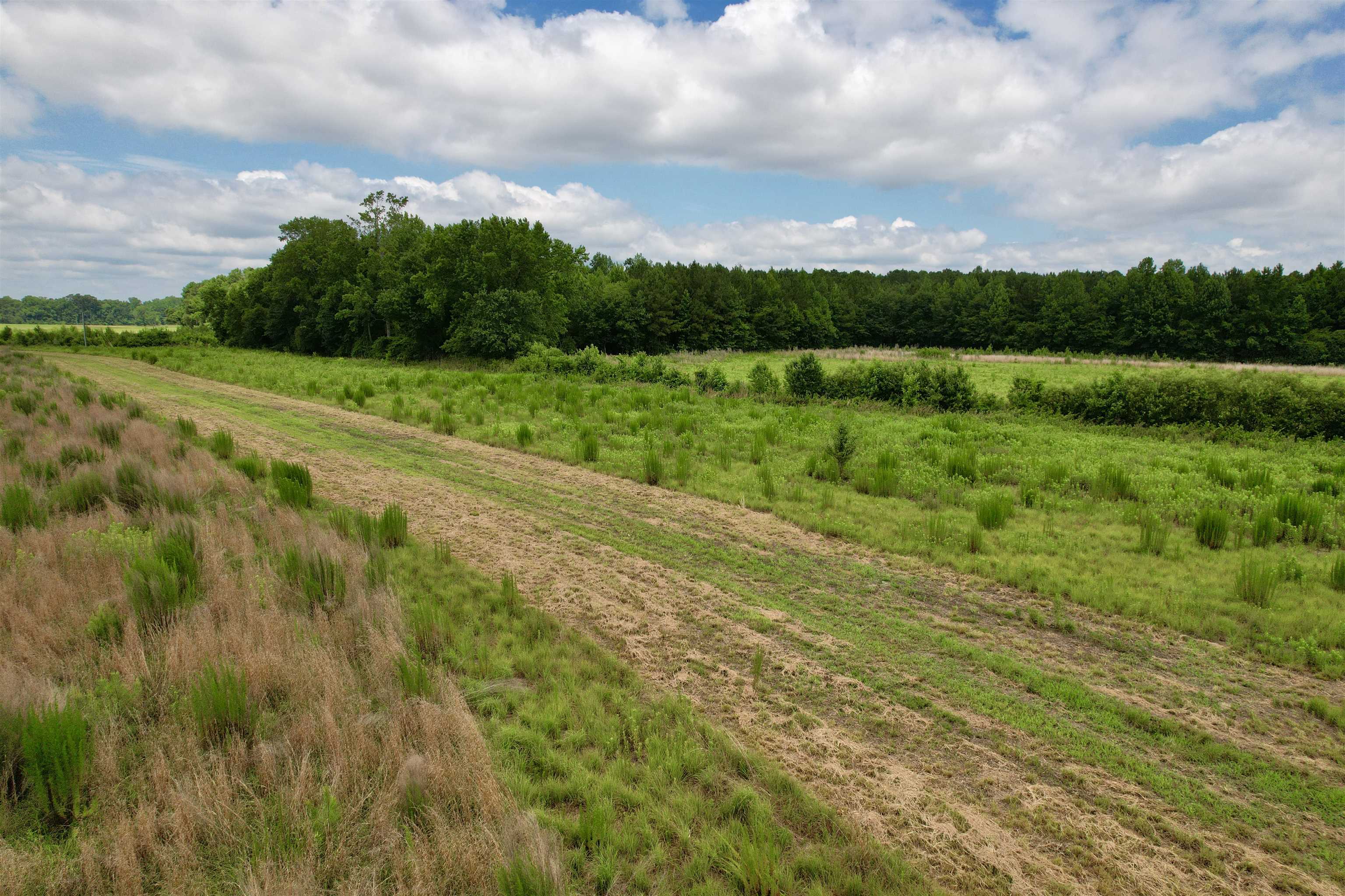 0 Powell Rd Green Green Sea, SC 29545 - Photo 60 of 72