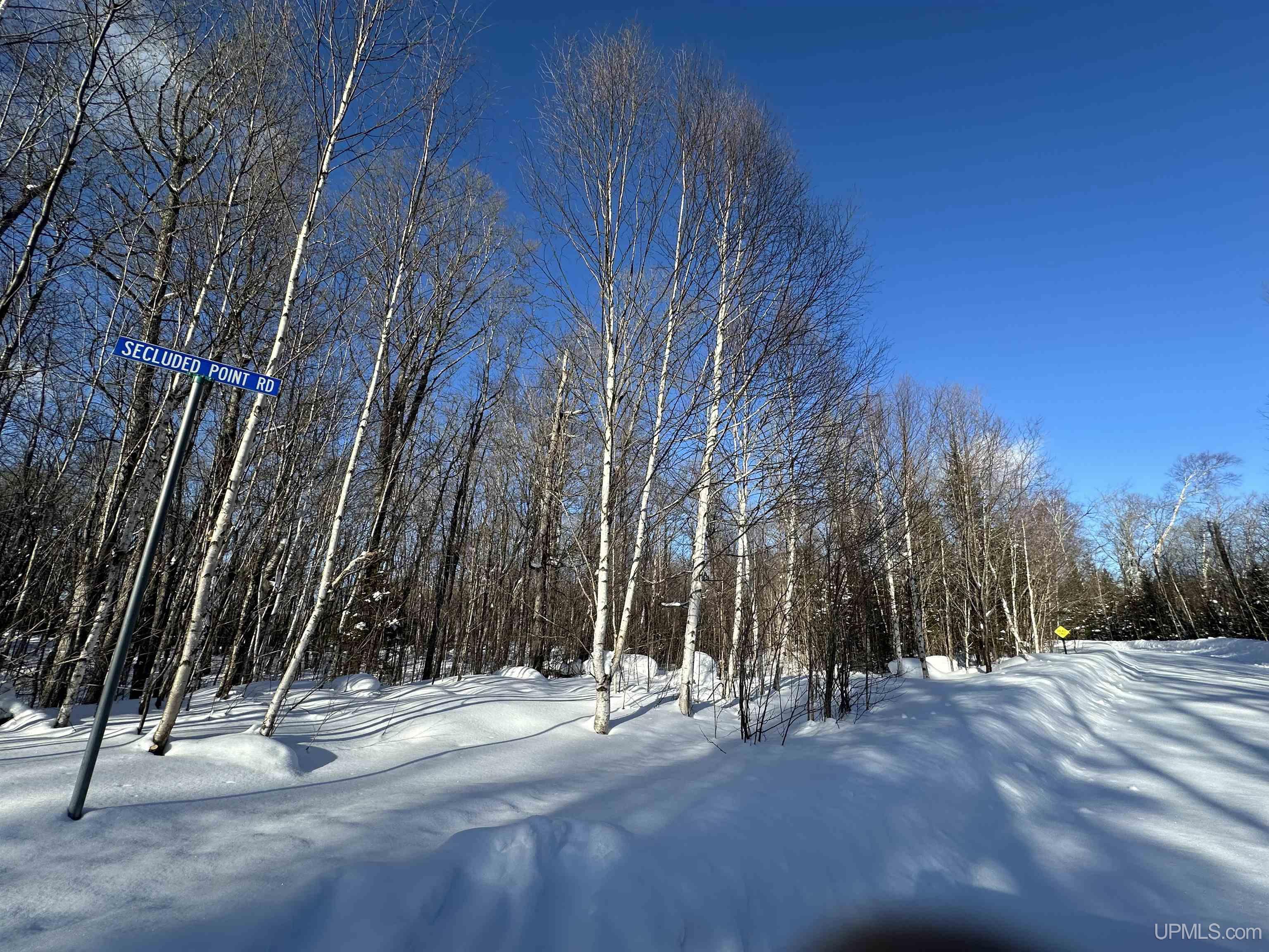 Lot 29 Secluded Point Road Michigamme, MI 49861 - Photo 10 of 21 Gallery Image 10