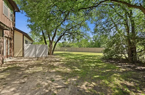 a view of a yard with large tree