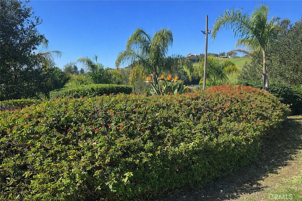 775 Riata Lane Nipomo, CA 93444 - Photo 39 of 40 a view of a garden