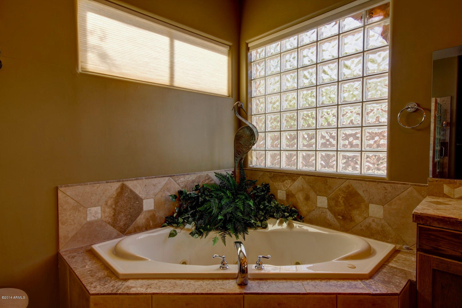 27114 North Sycamore Court Rio Verde, AZ 85263 - Photo 42 of 79 Master Bath Tub